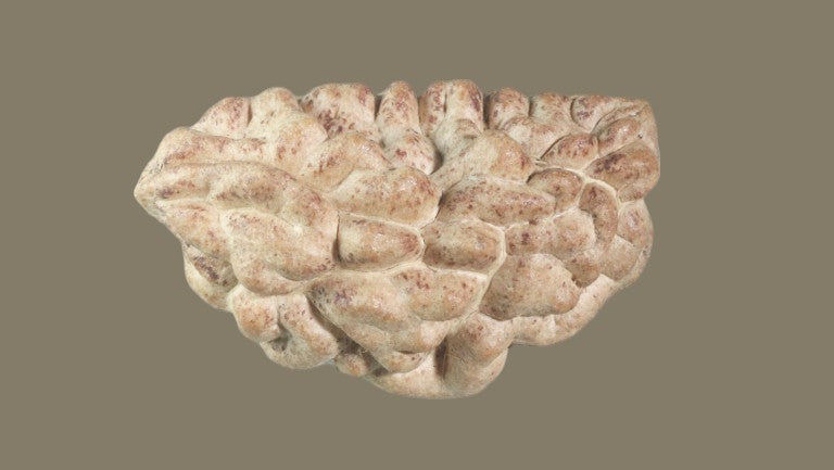 Rudraksha One Mukhi