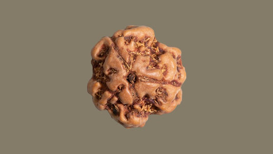 Teen Mukhi Rudraksha