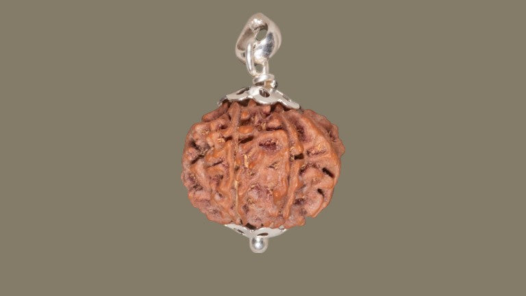 Rudraksha Eight Mukhi