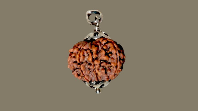 Rudraksha Nine Mukhi