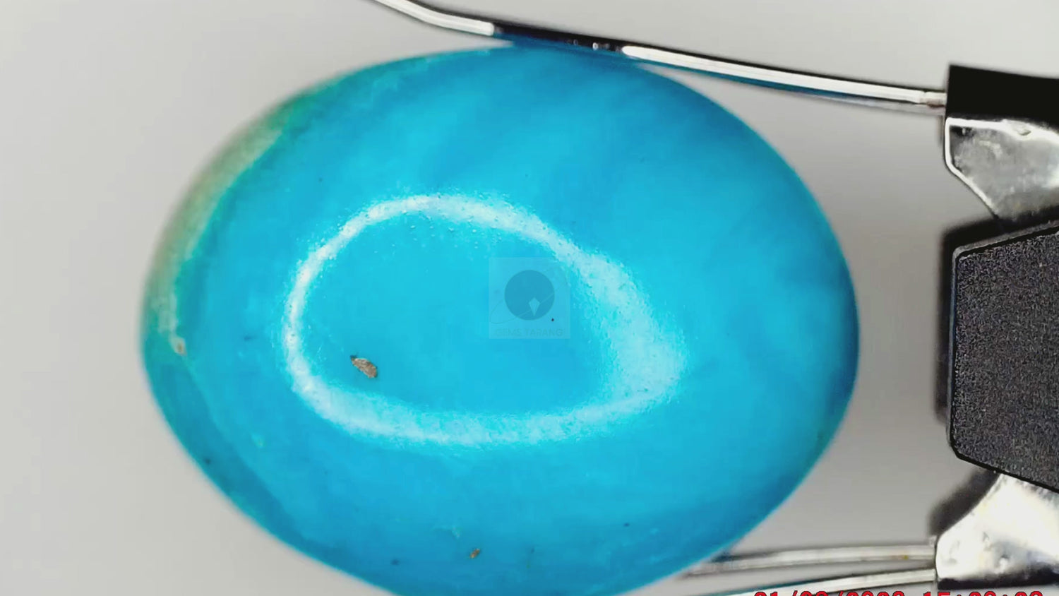Turquoise Iran (T2-12.65ct/ 14.0415 Ratti)