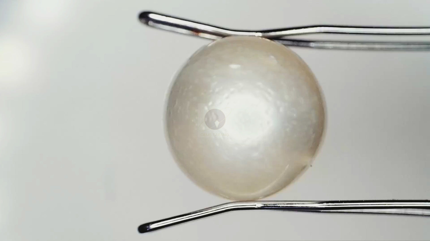 Pearl (Moti) South Sea (P1- 7.15ct/ 7.9365 Ratti)