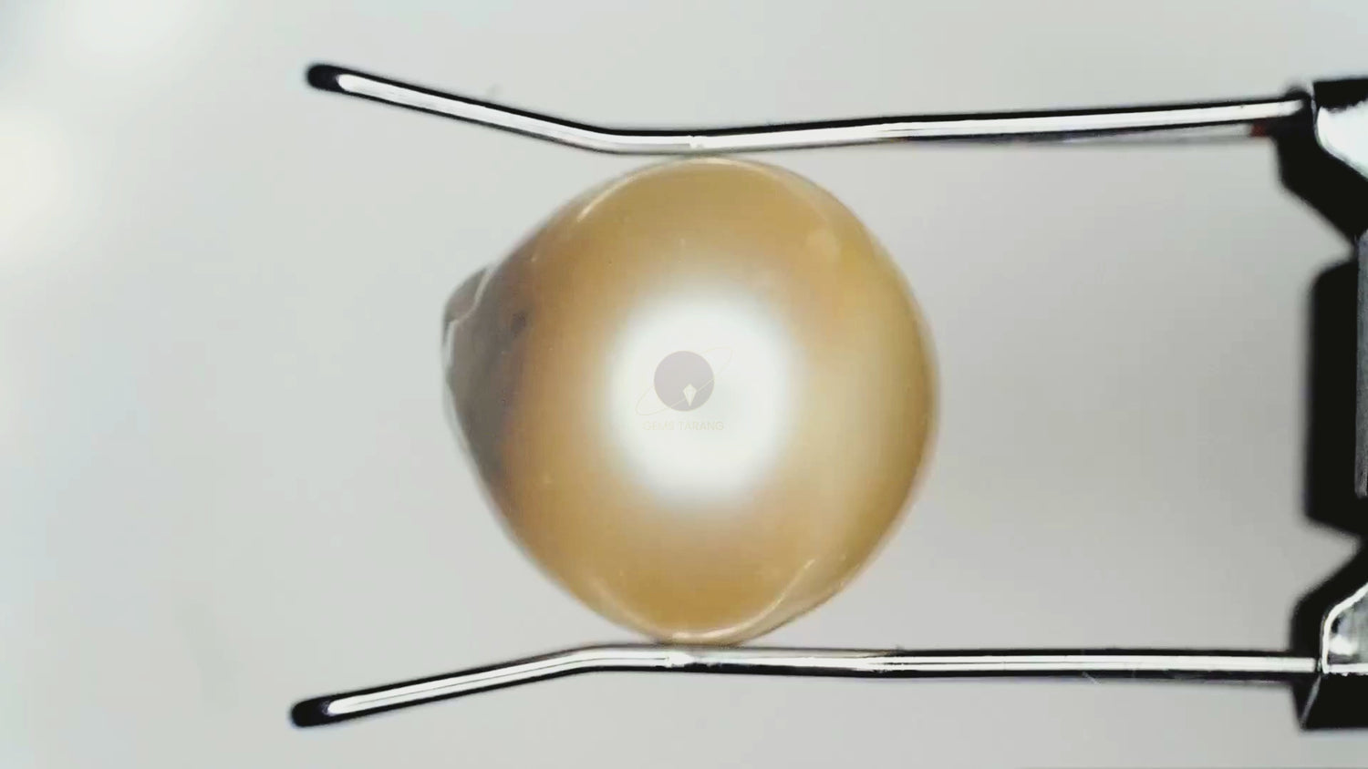 Pearl (Moti) South Sea (P4- 5.45ct/ 6.0495 Ratti)