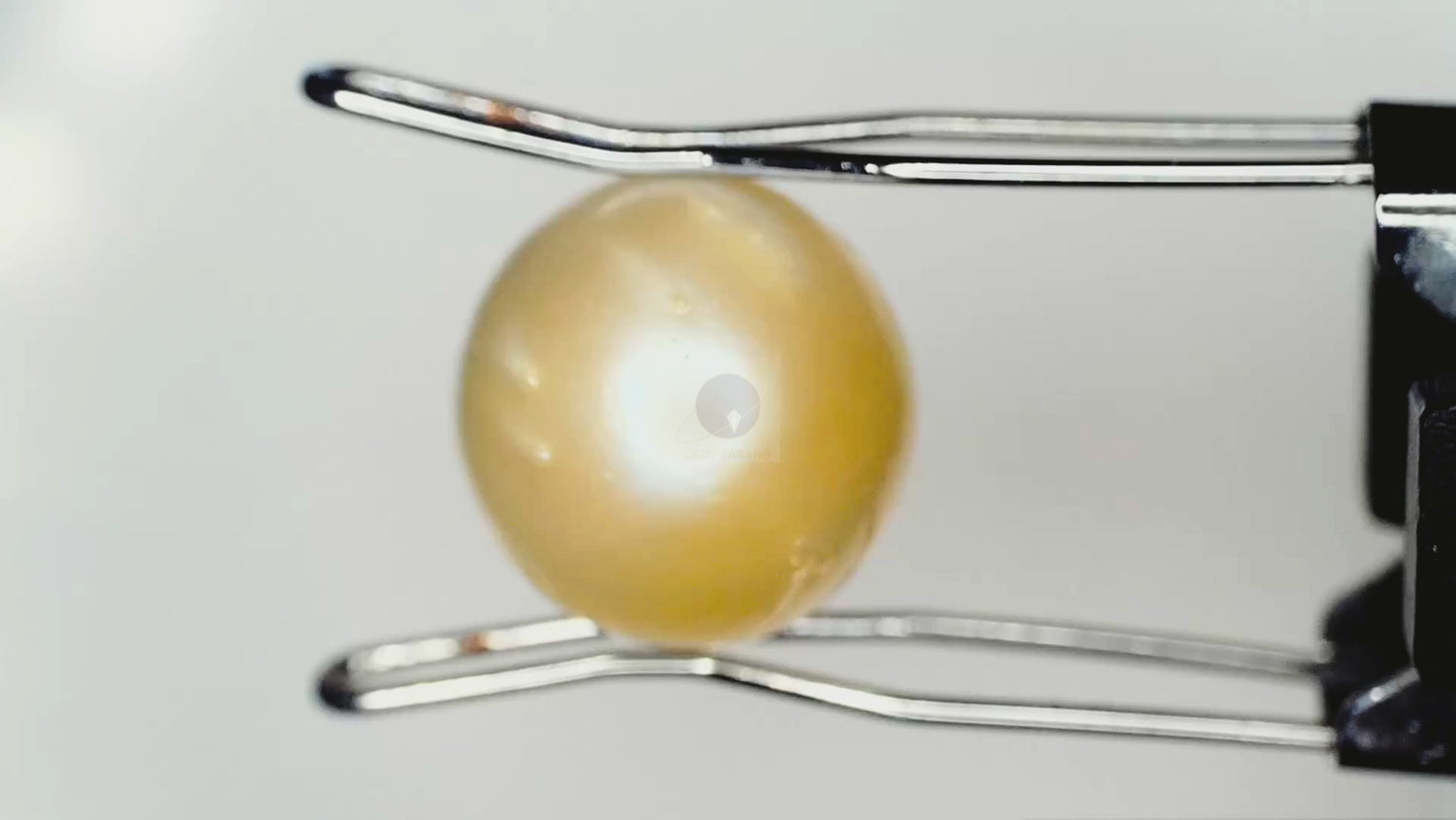 Pearl (Moti) South Sea (P9- 4.6ct/ 5.106 Ratti)