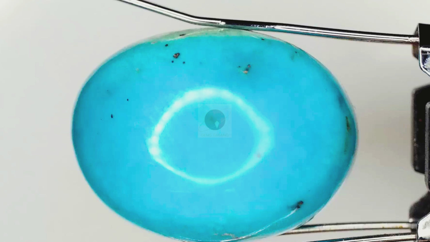 Turquoise Iran (T1-10ct/ 11.1 Ratti)