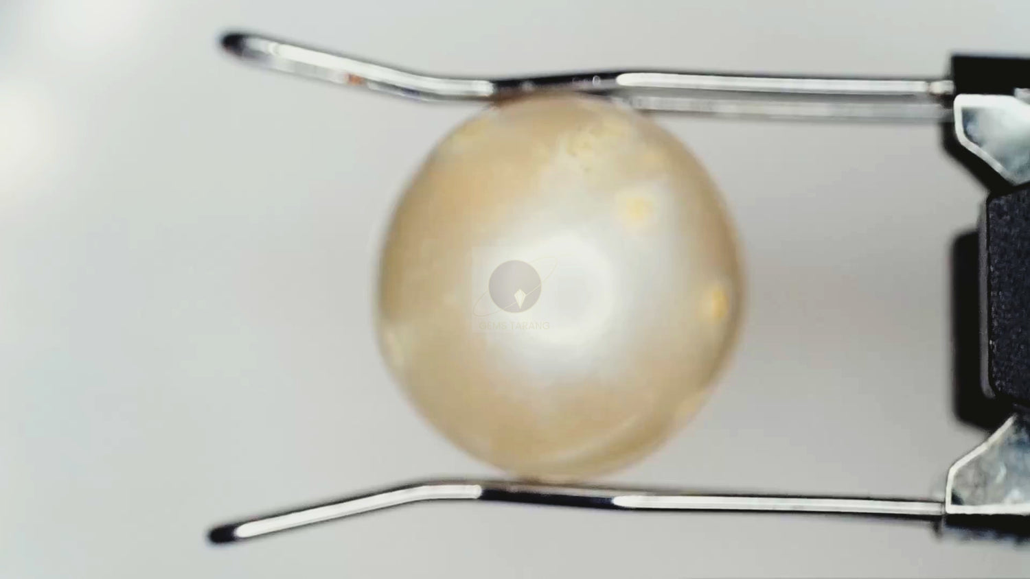 Pearl (Moti) South Sea (P8- 7.3ct/ 8.103 Ratti)