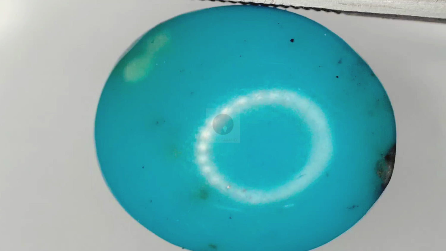 Turquoise Iran (T3-10ct/ 11.1 Ratti)