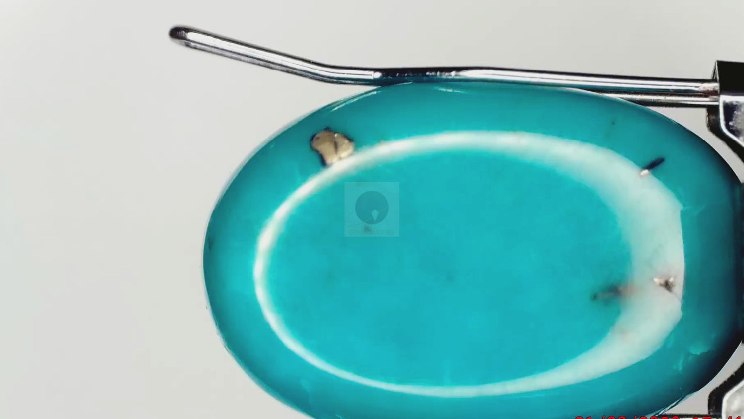 Turquoise Iran (T19-7.7ct/ 8.547 Ratti)