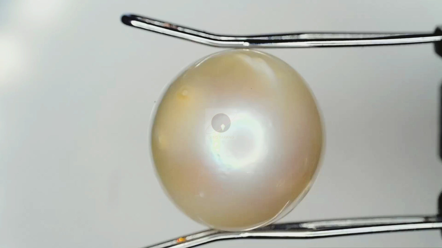 Pearl (Moti) South Sea (P3- 8.45ct/ 9.3795 Ratti)