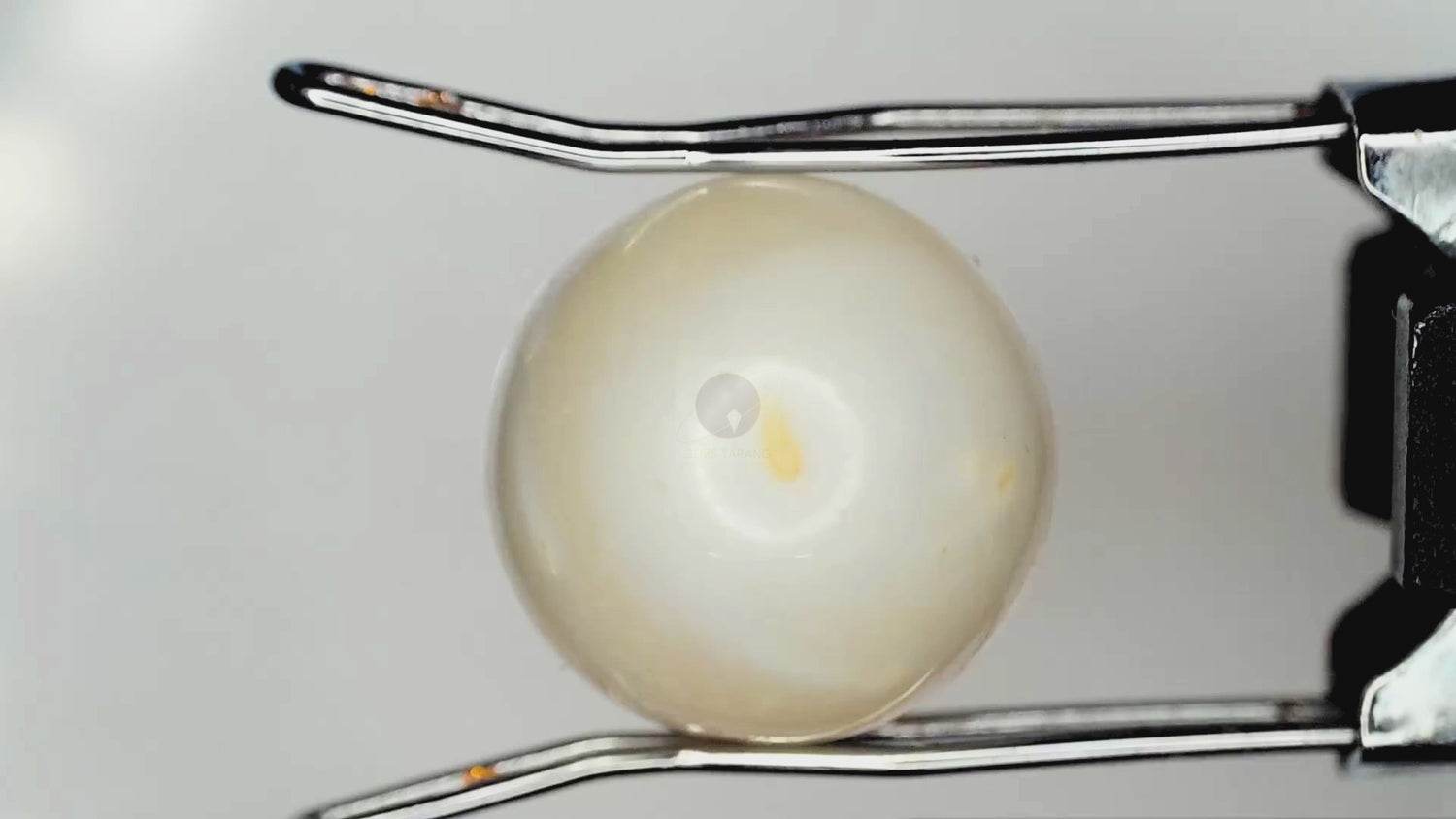 Pearl (Moti) South Sea (P6- 7.75ct/ 8.6025 Ratti)