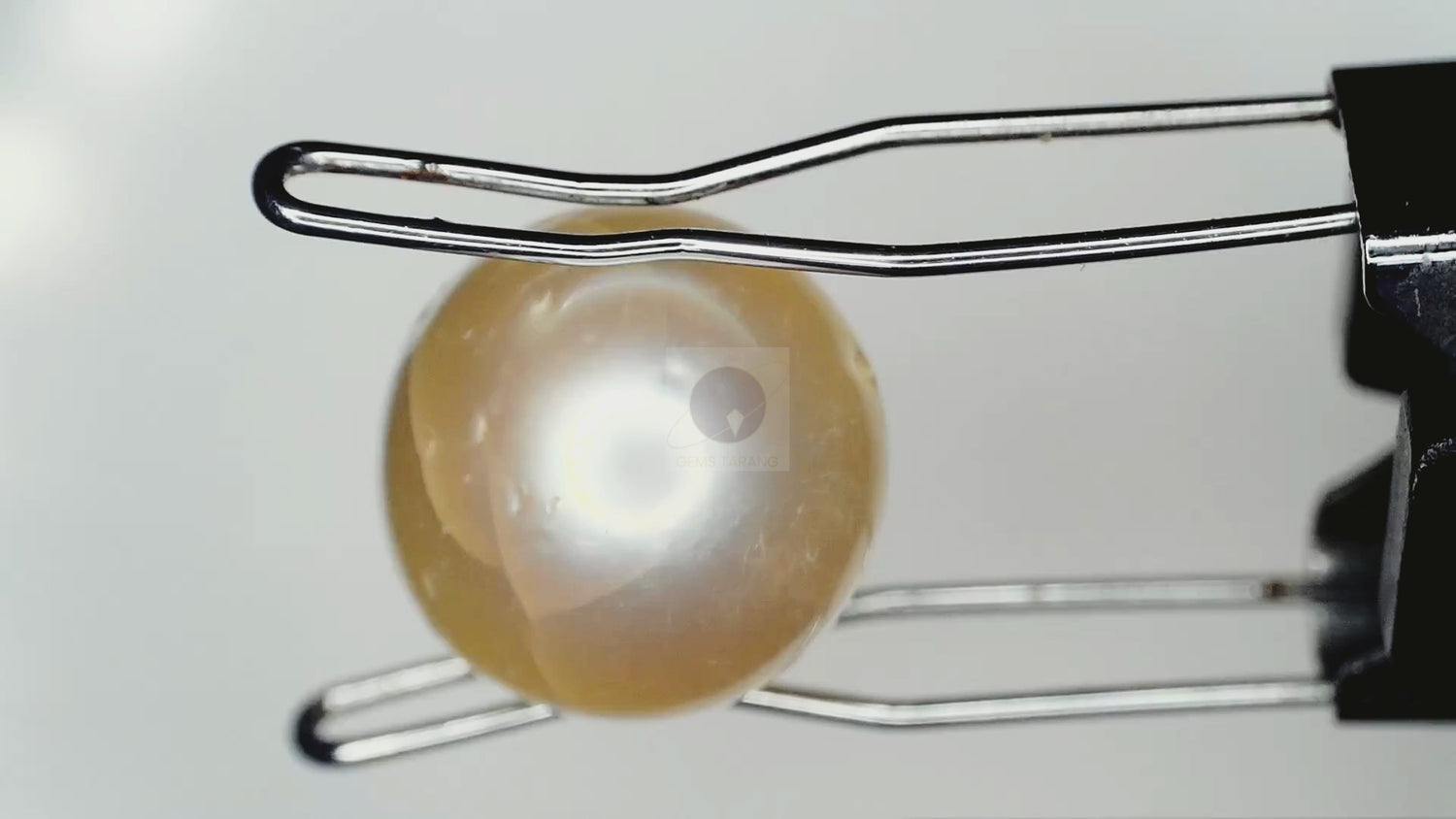 Pearl (Moti) South Sea (P7- 5.6ct/ 6.216 Ratti)